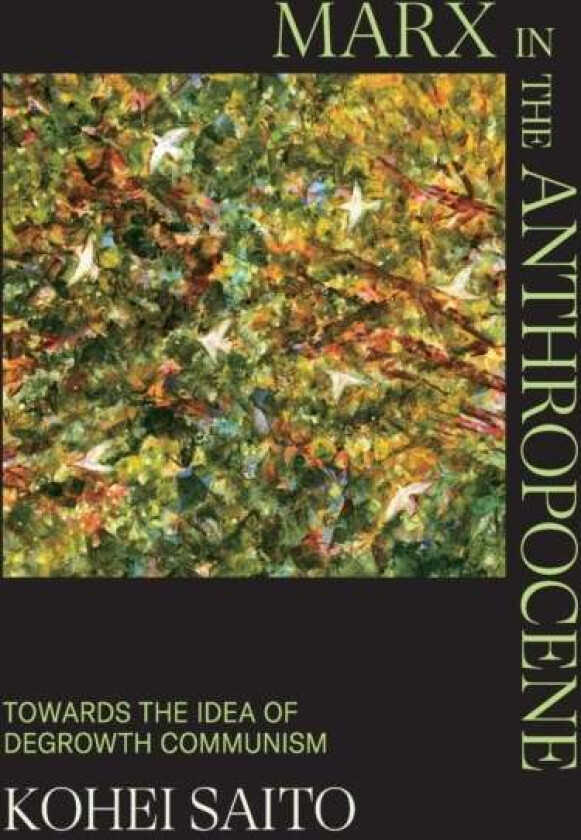 Marx in the Anthropocene av Kohei (University of Tokyo) Saito