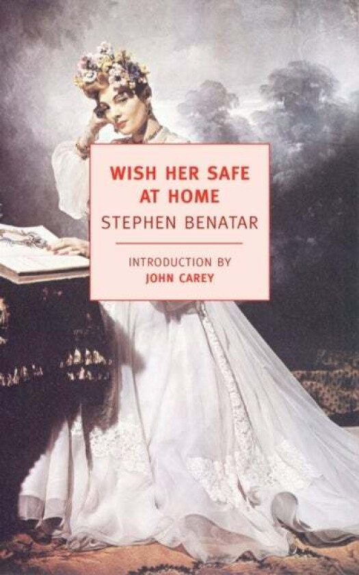 Wish Her Safe At Home av Stephen Banatar