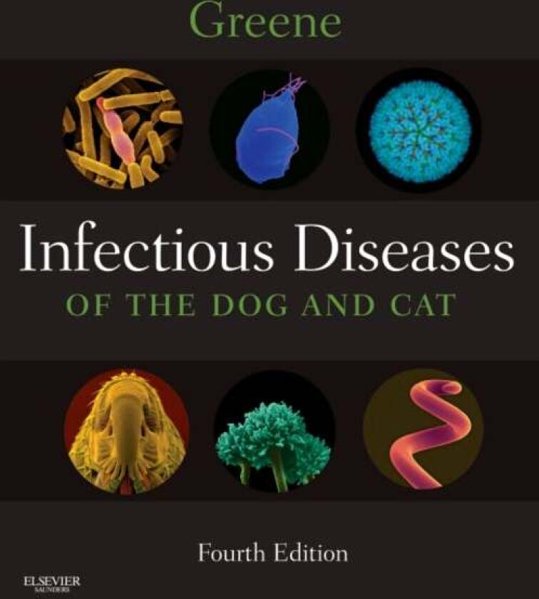 Infectious Diseases of the Dog and Cat av Jane E. (Director Small Animal Clinic Sykes, Wil