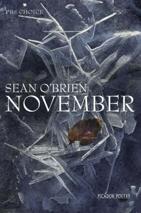 November av Sean O'Brien