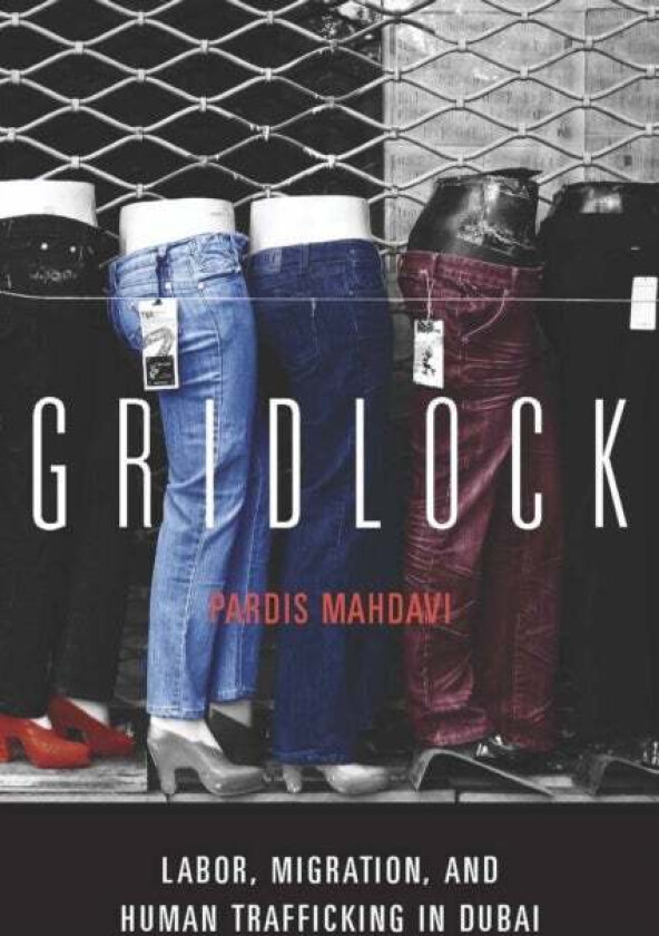 Gridlock av Pardis Mahdavi