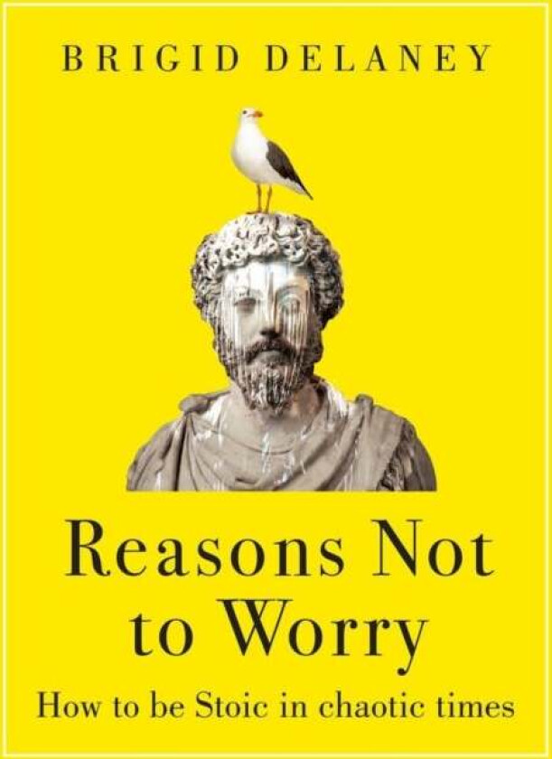 Reasons Not to Worry av Brigid Delaney