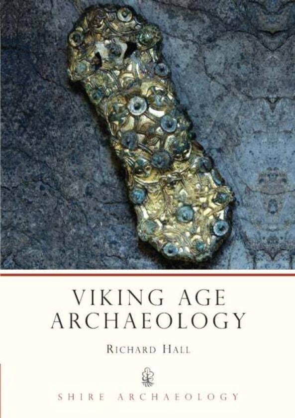 Viking Age Archaeology av Richard A Hall