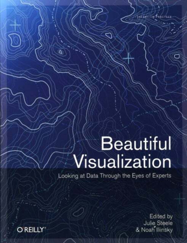 Beautiful Visualization : Looking At Data Through The Eyes Of Experts av Julia Steele