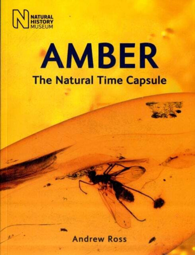 Amber av Andrew Ross