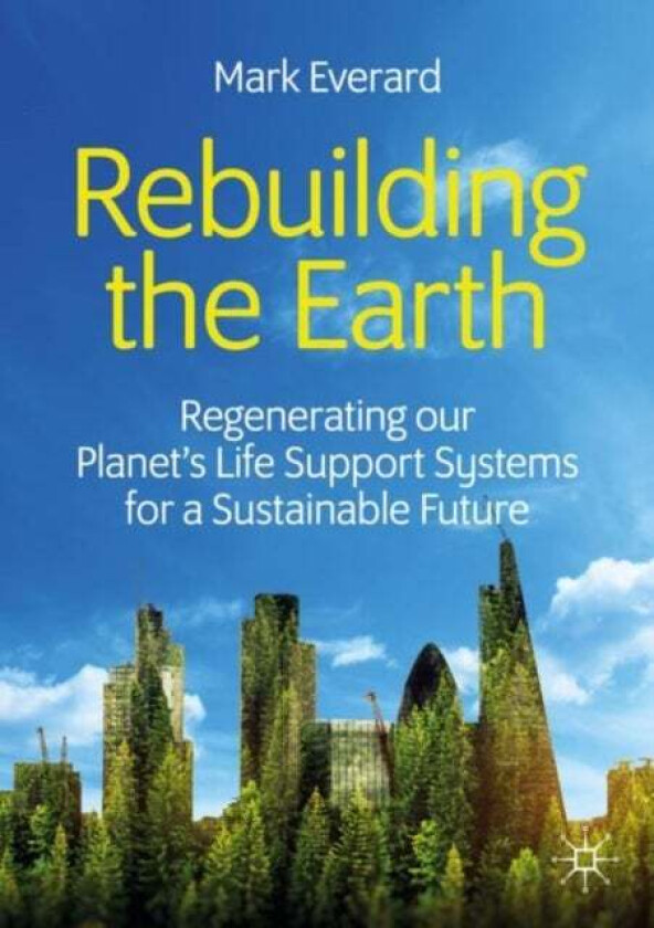 Rebuilding the Earth av Mark Everard