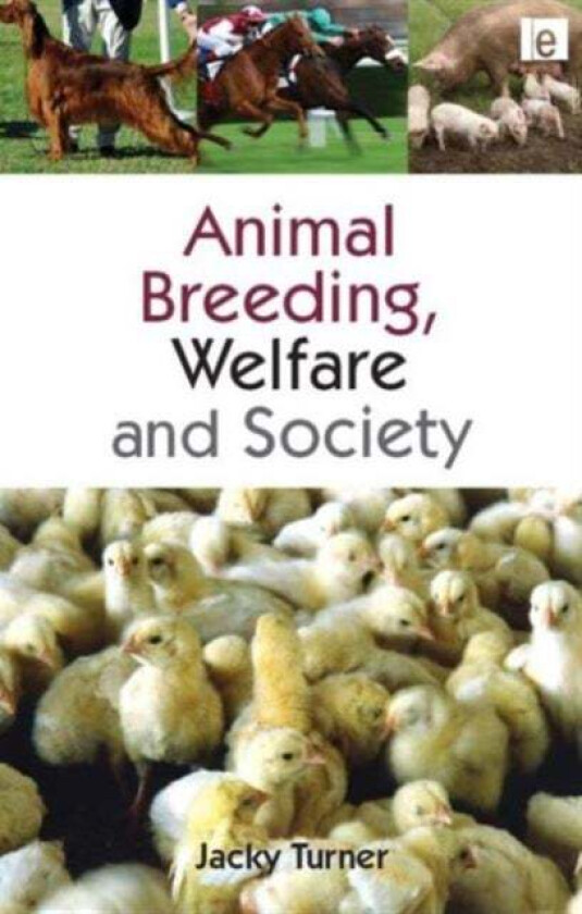 Animal Breeding, Welfare and Society av Jacky Turner