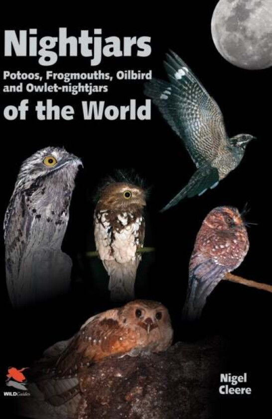 Nightjars, Potoos, Frogmouths, Oilbird, and Owlet-nightjars of the World av Nigel Cleere