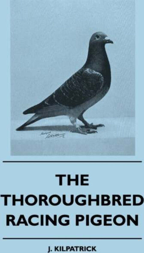 The Thoroughbred Racing Pigeon av J. Kilpatrick