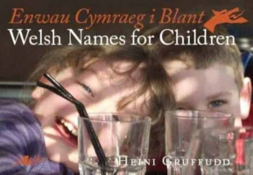 Enwau Cymraeg i Blant/Welsh Names for Children av Heini Gruffudd
