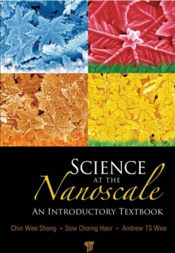 Science at the Nanoscale av Andrew T. S. Wee, Chorng Haur Sow, Chin Wee Shong