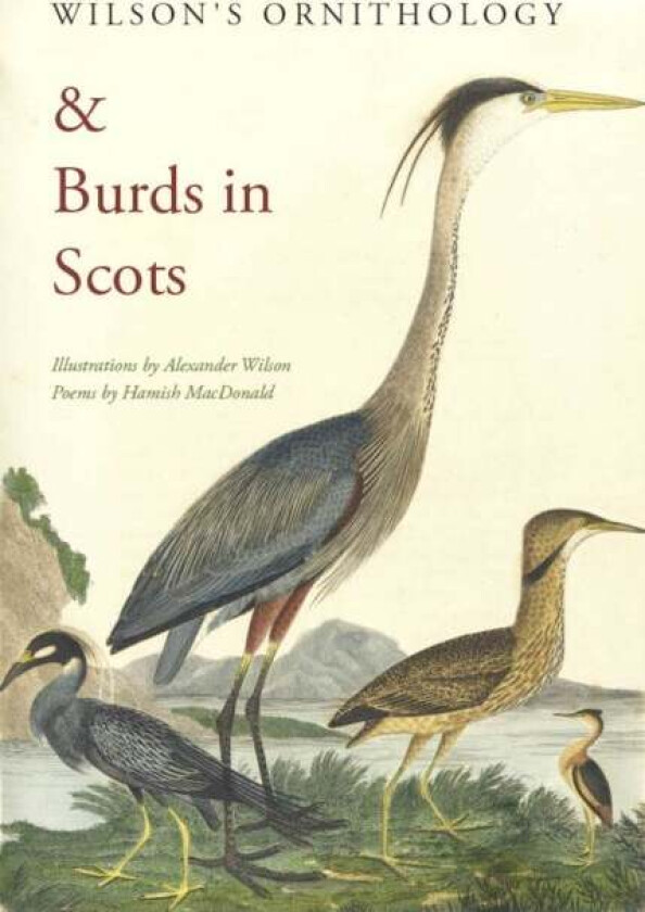Wilson's Ornithology and Burds in Scots av Hamish MacDonald