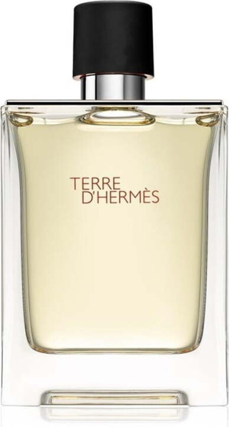 Terre D' Edt 100ml