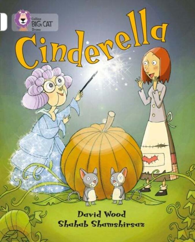 Cinderella av David Wood, Shahab Shamshirsaz