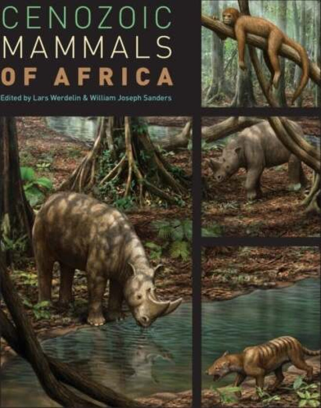 Cenozoic Mammals of Africa