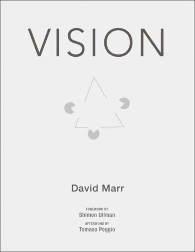 Vision av David (Late Professor of Psychology at the Massachusetts Institute of Technology) Marr