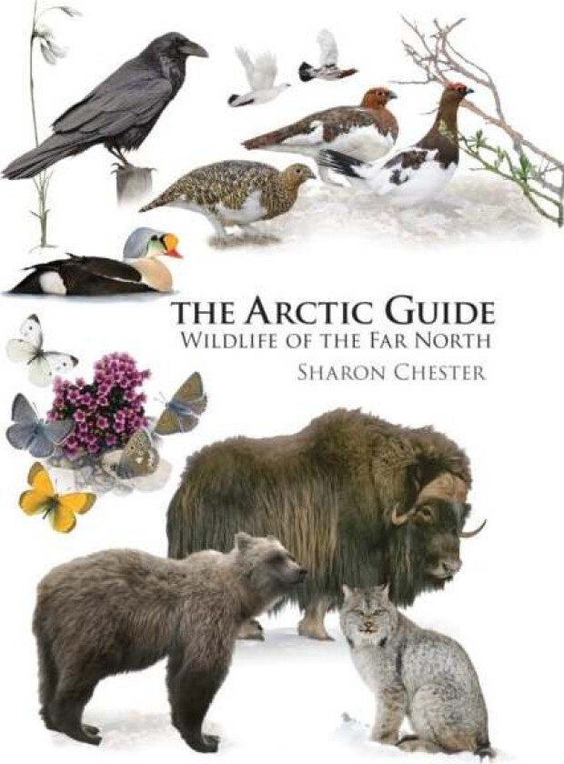 The Arctic Guide av Sharon Chester