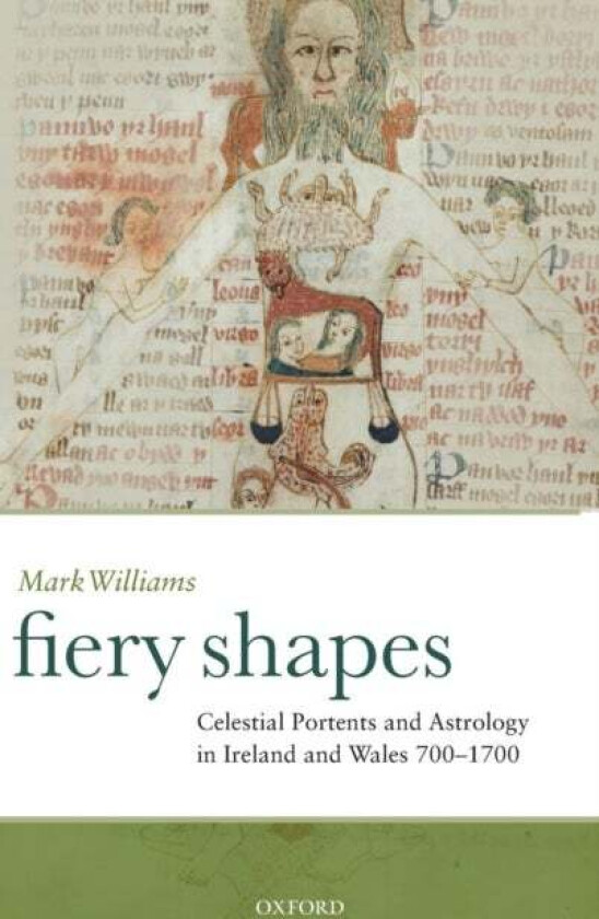 Fiery Shapes av Mark (Research Fellow Peterhouse Cambr Williams