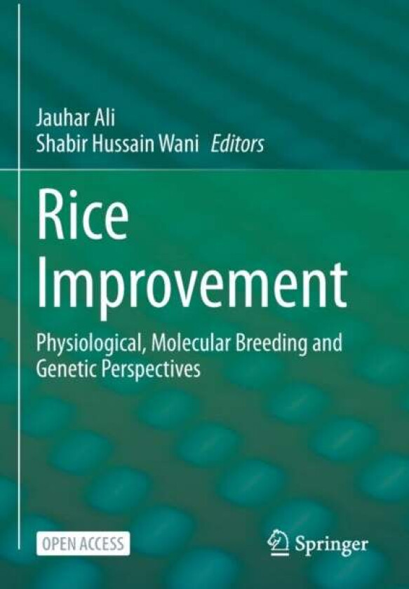 Rice Improvement