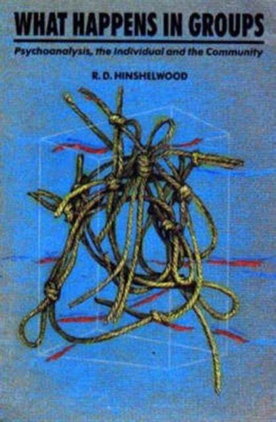 What Happens in Groups av R. D. Hinshelwood