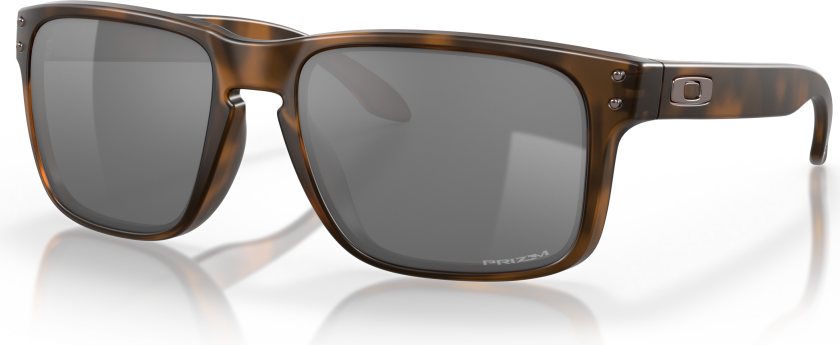 Holbrook Matte Brown Tortoise
