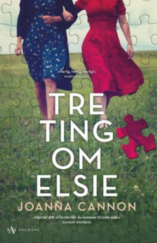 Tre ting om Elsie av Joanna Cannon