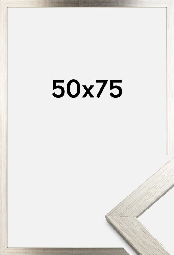 Ramme Silver Wood Akrylglass 50x75 Cm