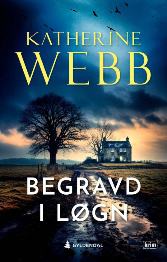 Begravd i løgn av Katherine Webb