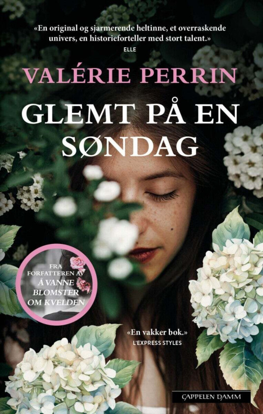Glemt på en søndag av Valérie Perrin