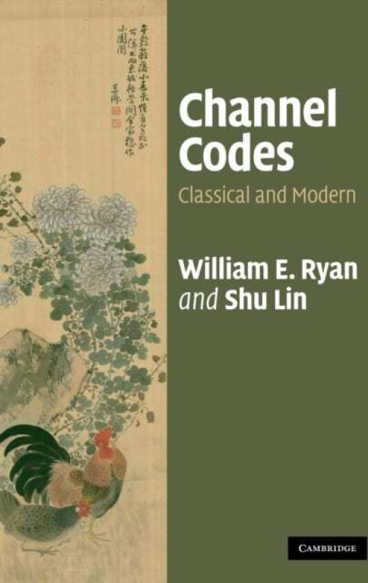 Channel Codes av William Ryan, Shu (University of California Davis) Lin