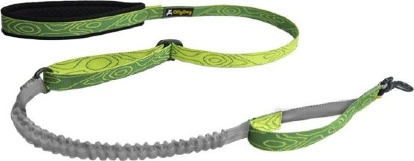 Flagstaff Adjustable Spring Leash OneSize, Sage Bark