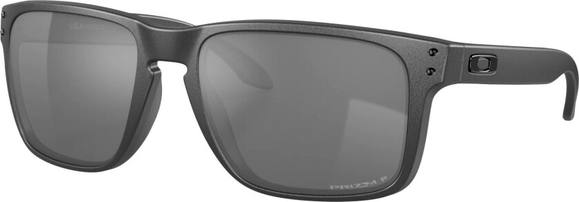 Holbrook Xl Steel W/Prizm Black Polarized OS