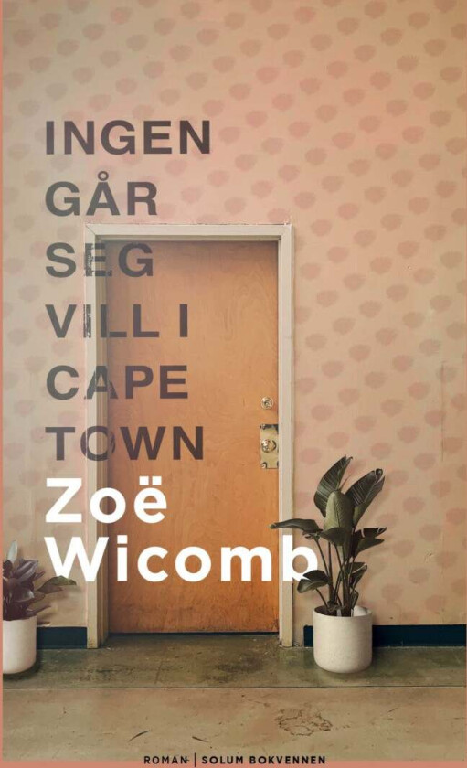 Ingen går seg vill i Cape Town av Zoe Wicomb
