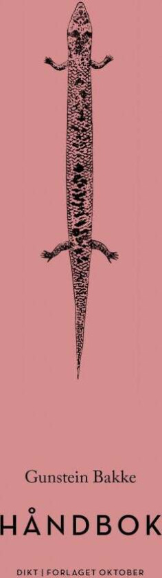 Håndbok av Gunstein Bakke