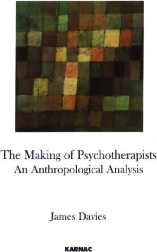 The Making of Psychotherapists av James (University of Roehampton London UK) Davies