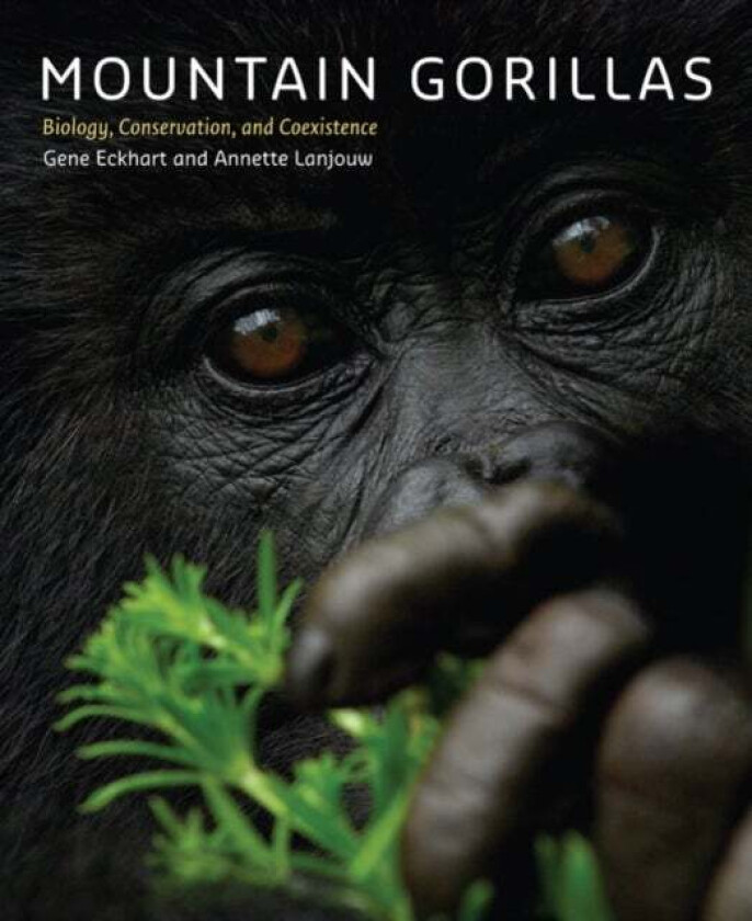 Mountain Gorillas av Gene Eckhart, Annette (Director Great Apes Program Arcus Foundation) Lanjouw