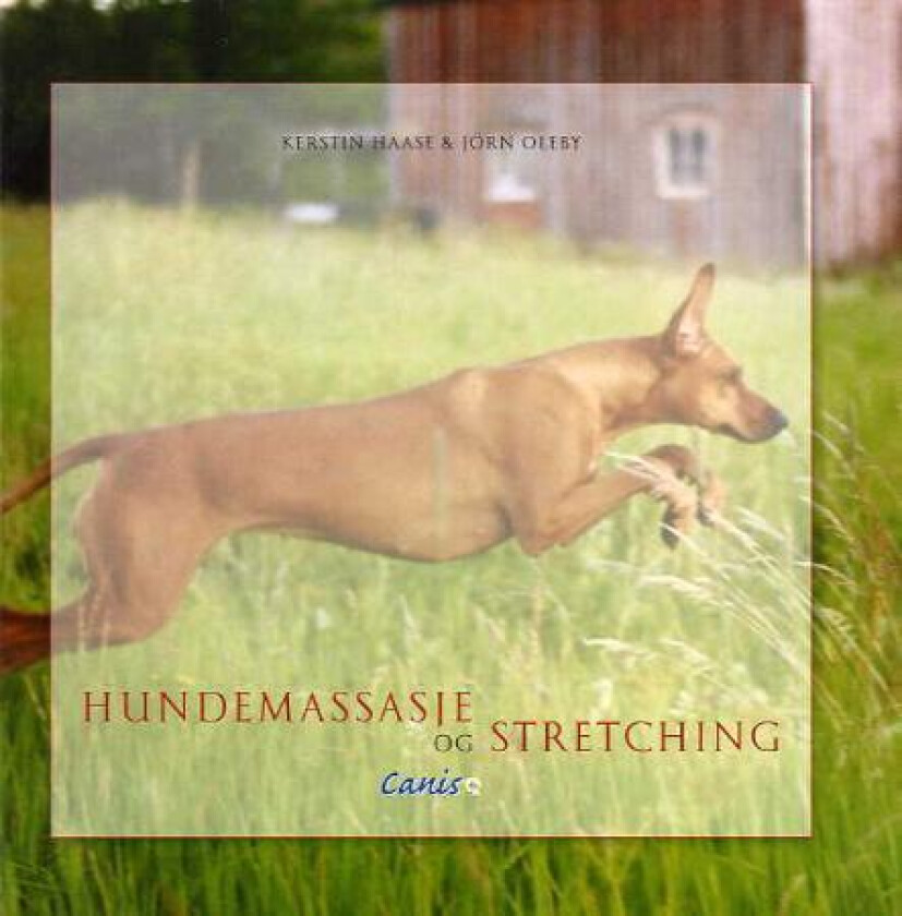 Hundemassasje og stretching av Kerstin Haase, Jörn Oleby