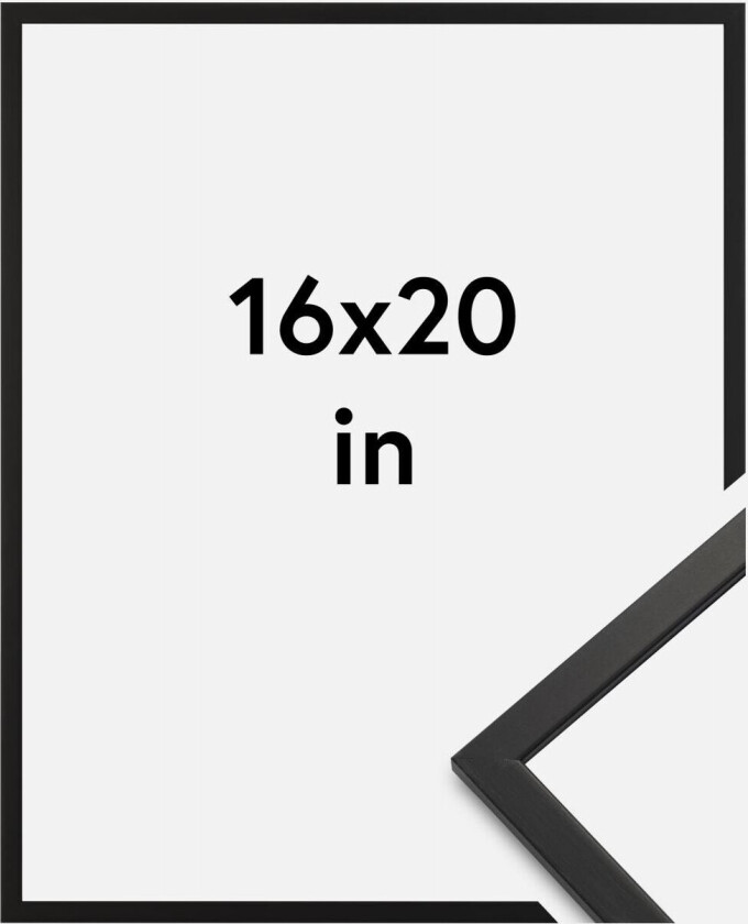 Ramme Edsbyn Akrylglass Svart 16x20 Inches (40,64x50,8 Cm)