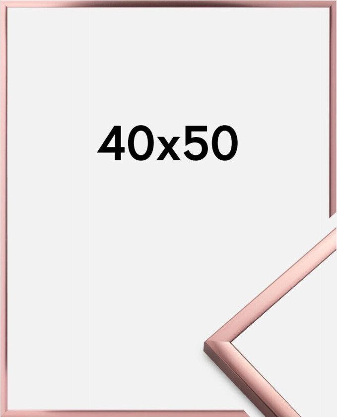 Ramme Poster Aluminum Roségull 40x50 Cm