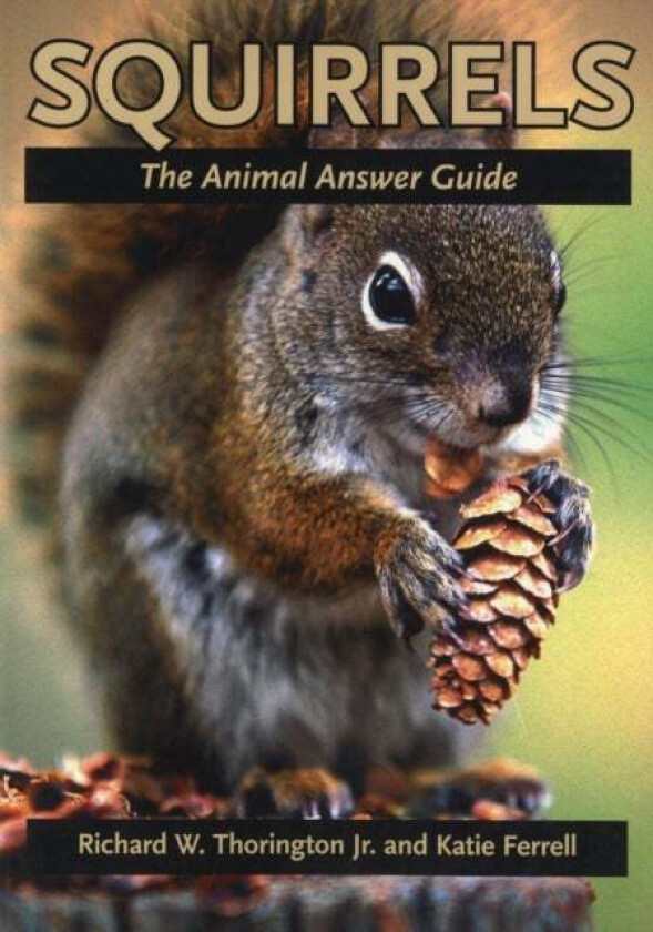 Squirrels av Richard W. Jr. (Curator Smithsonian Institution) Thorington, Katie E. Ferrell