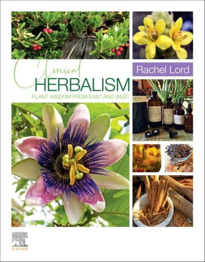 Clinical Herbalism av Rachel Lord
