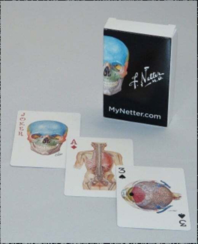 Netter Playing Cards av Frank H. MD Netter