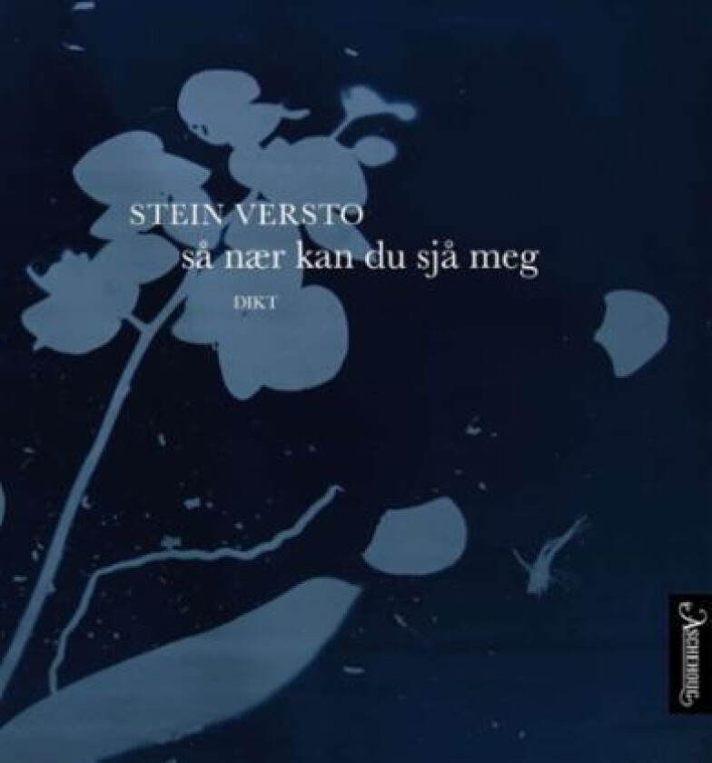 Så nær kan du sjå meg av Stein Versto