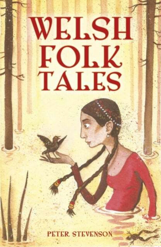 Welsh Folk Tales av Peter Stevenson