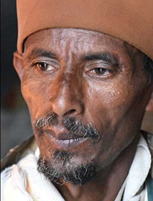 Portraits av Tom Lutz