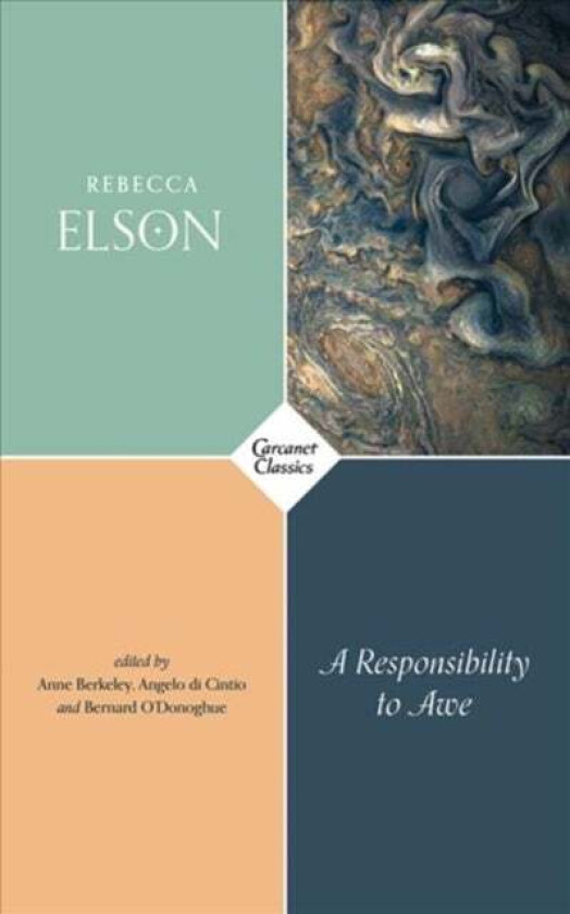 A Responsibility to Awe av Rebecca Elson