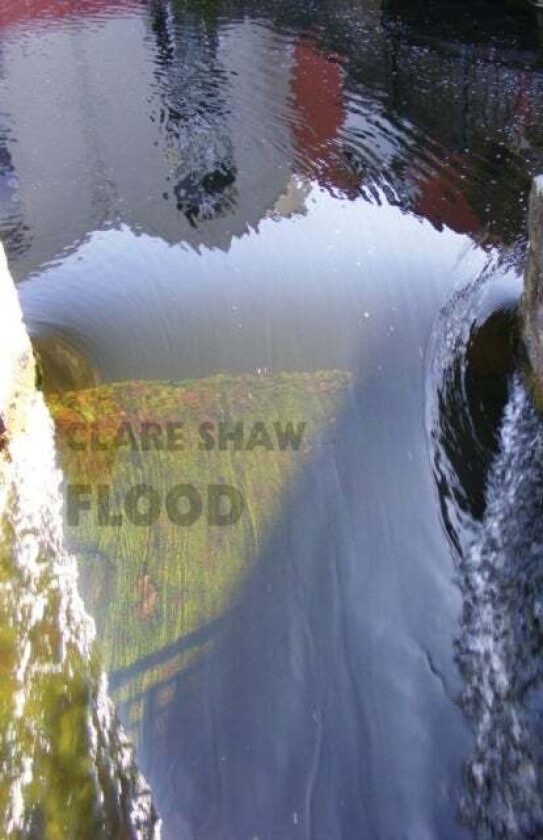 Flood av Clare Shaw