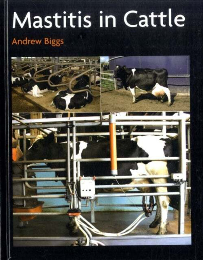 Mastitis In Cattle av Andrew Biggs