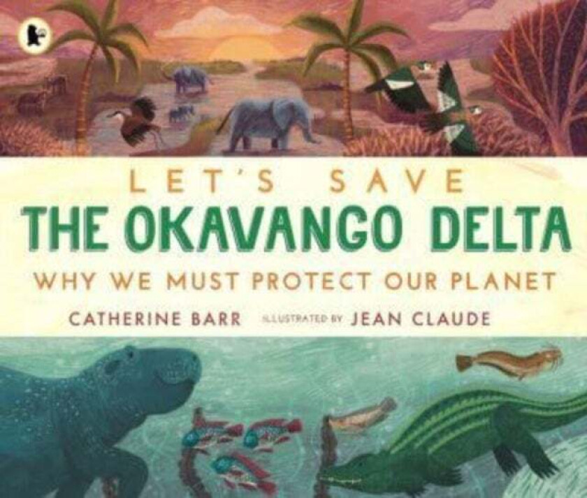 Let's Save the Okavango Delta: Why we must protect our planet av Catherine Barr