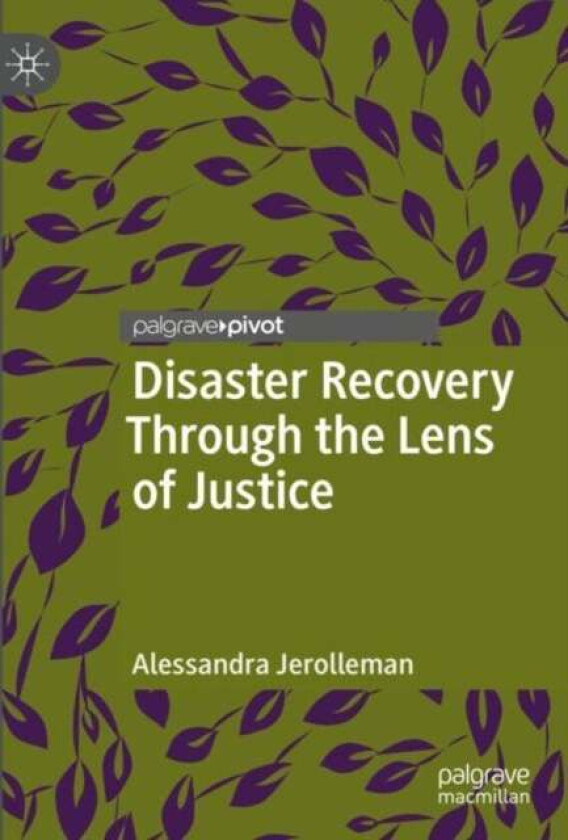 Disaster Recovery Through the Lens of Justice av Alessandra Jerolleman